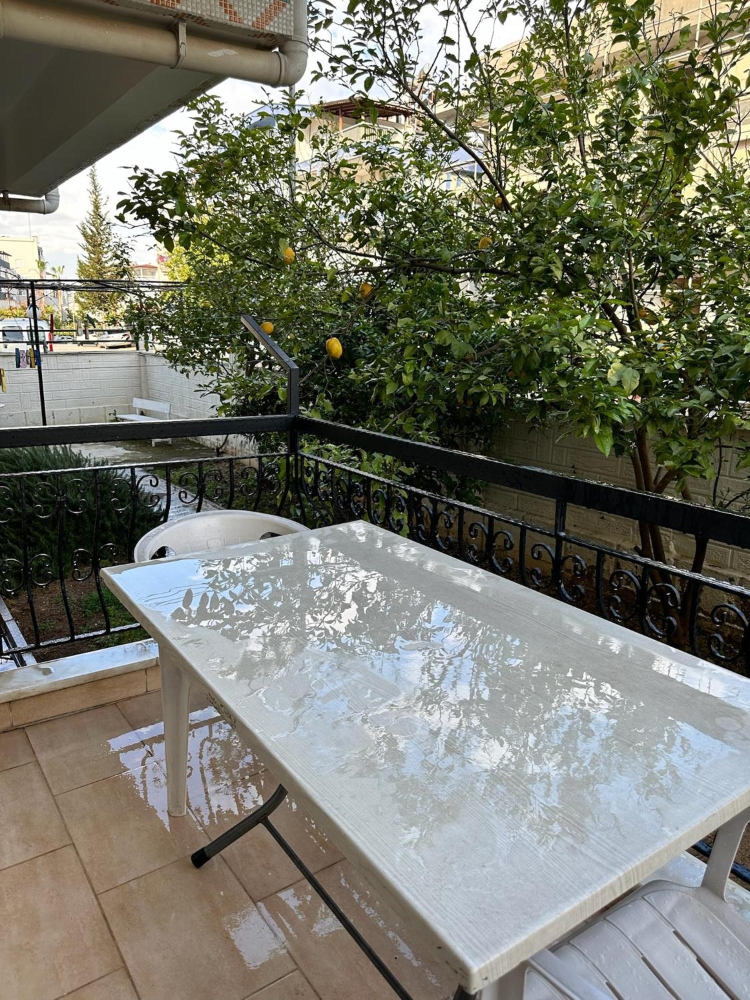 Bulut Apartment 安塔利亚 客房 照片